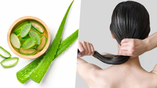 के एलोभेराले कपाल झर्नबाट रोक्छ  ? 